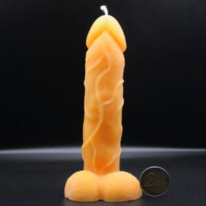 Penis – Bild 4